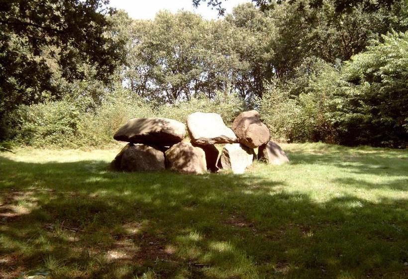 בית מלון כפרי De Vriezerbrug