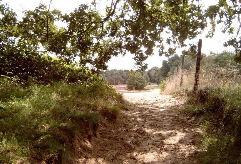 בית מלון כפרי De Vriezerbrug