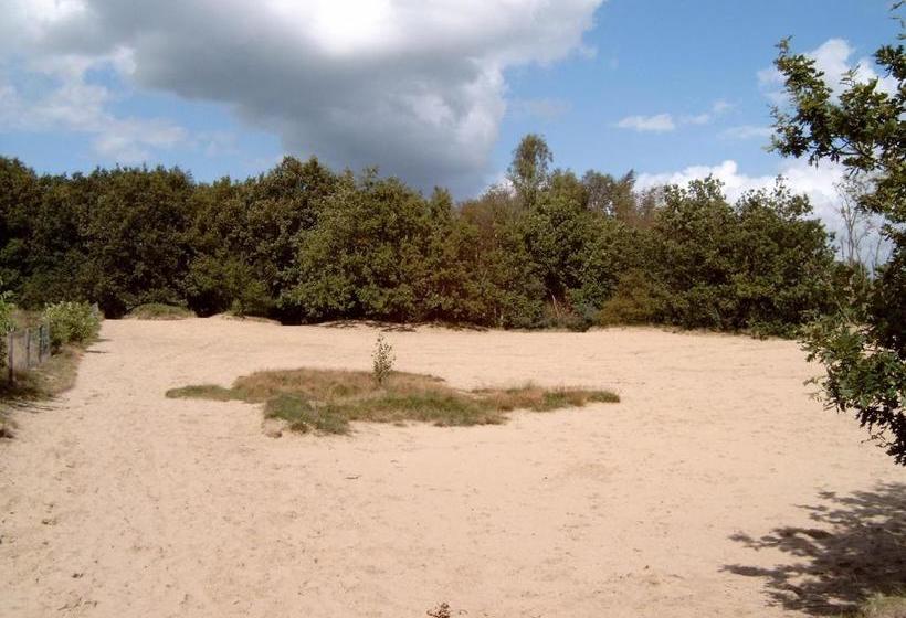 בית מלון כפרי De Vriezerbrug