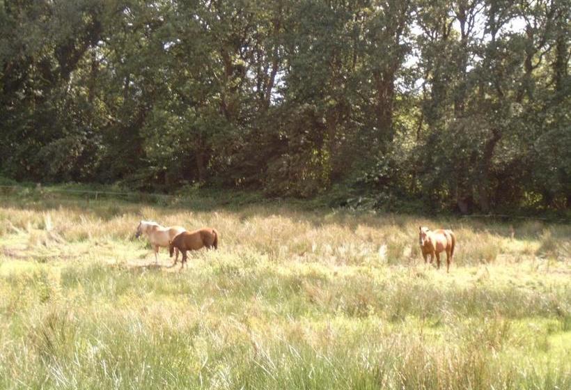 בית מלון כפרי De Vriezerbrug