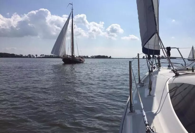 ベッドアンドブレックファースト Mid83