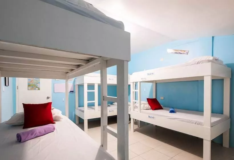 هاستل Gb Wight Accommodation And Restobar