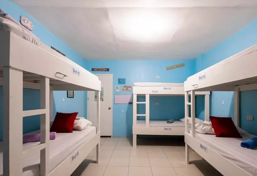هاستل Gb Wight Accommodation And Restobar