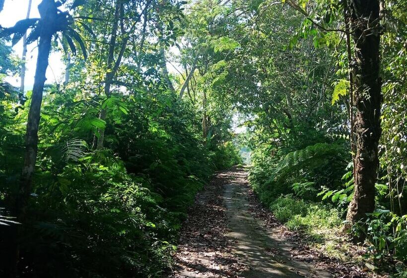 酒店 Ecocamp Bedugul