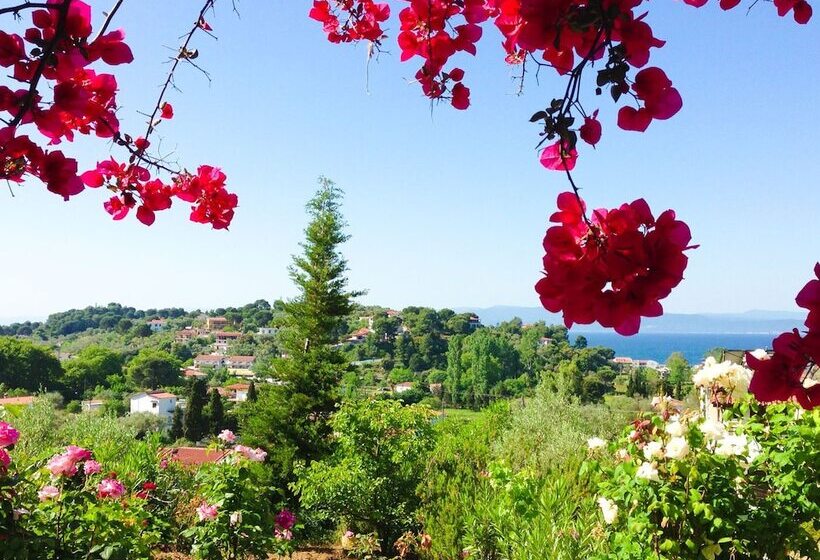 هتل Filia Studios & Apartments