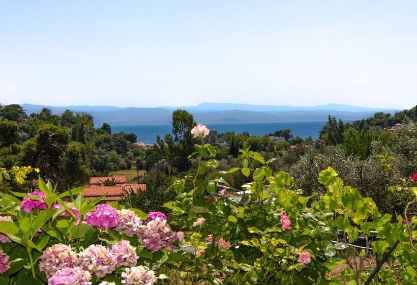 هتل Filia Studios & Apartments