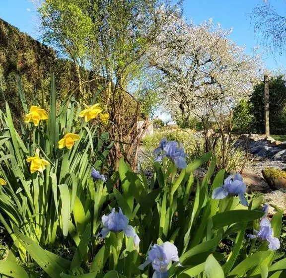 Aamiaismajoitus (B&B) Chambres D Hôtes Anne Marie