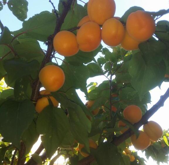 צימר Chambres D Hôtes Anne Marie