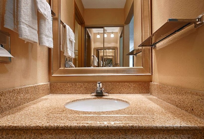 酒店 Best Western Martinsville Inn