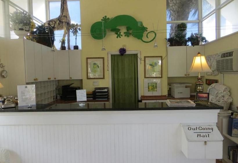 Otel Lemon Tree Inn   Near Tin City