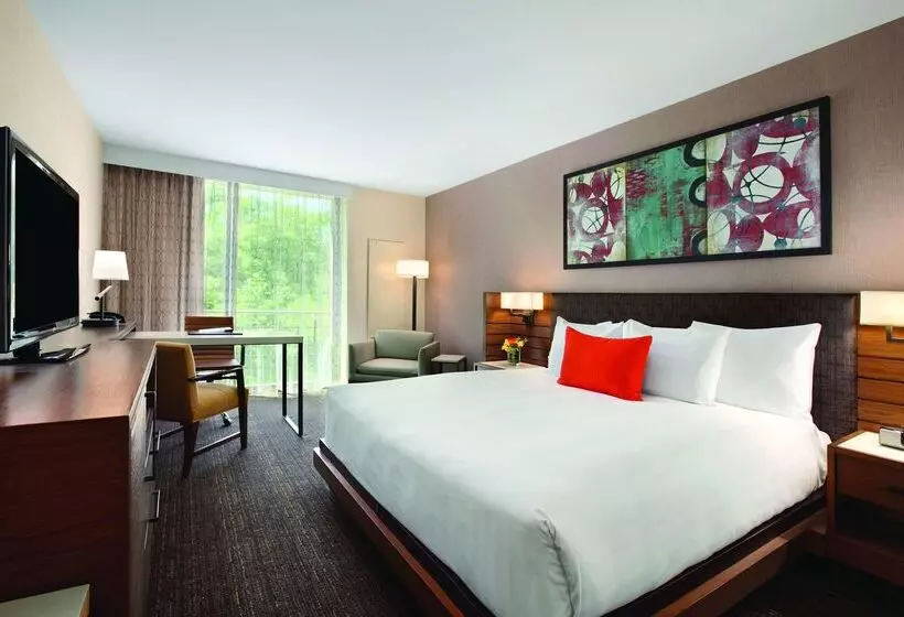هتل Hyatt Lodge Oak Brook Chicago
