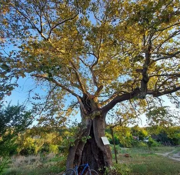 Pension Villa Bratislava