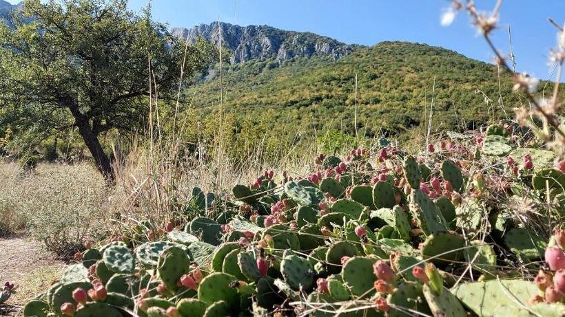 پانسیون Villa Bratislava