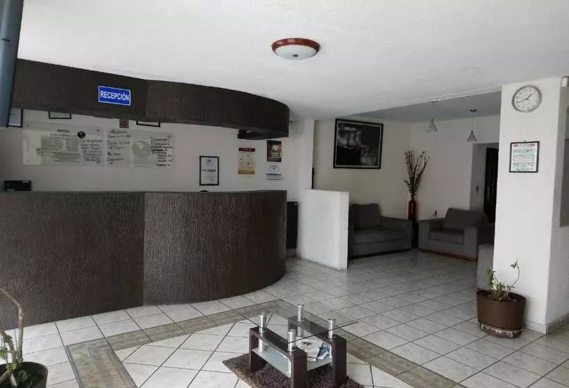 هتل Guiba Las Americas