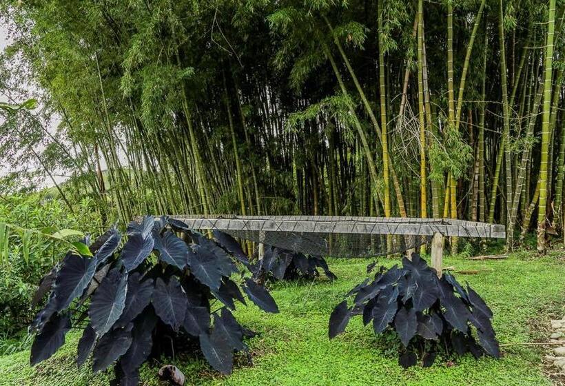 Ecohotel Monte Tierra Habitaciones Y Glamping