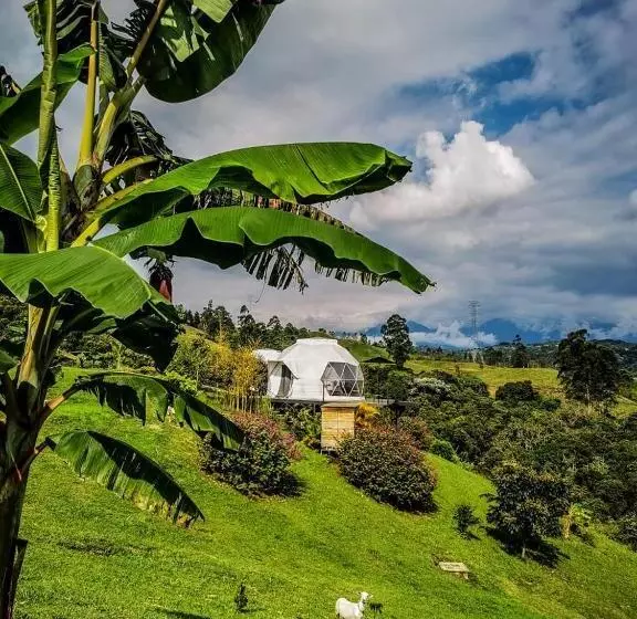 Ecohotel Monte Tierra Habitaciones Y Glamping