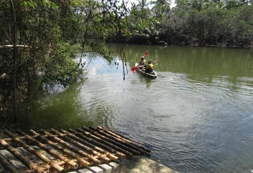 פנסיון Ging Oya Lodge