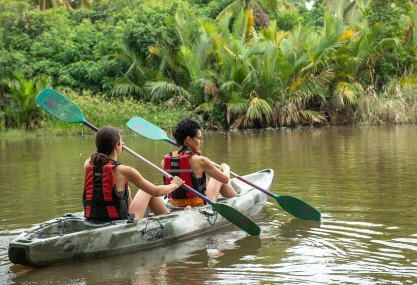 פנסיון Ging Oya Lodge