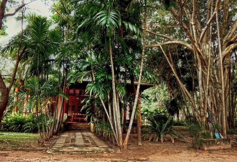 פנסיון Ging Oya Lodge