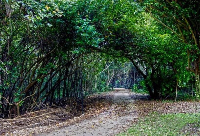 פנסיון Ging Oya Lodge