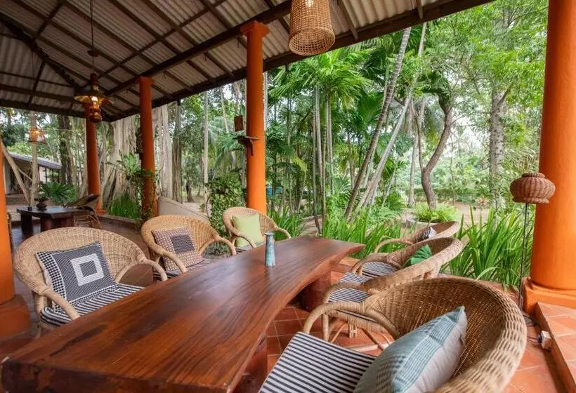 پانسیون Ging Oya Lodge