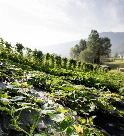 호텔 Hurtmuehle Kronblick