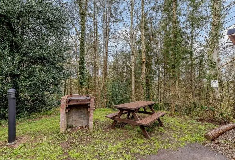 Resort Bulworthy Forest Lodges