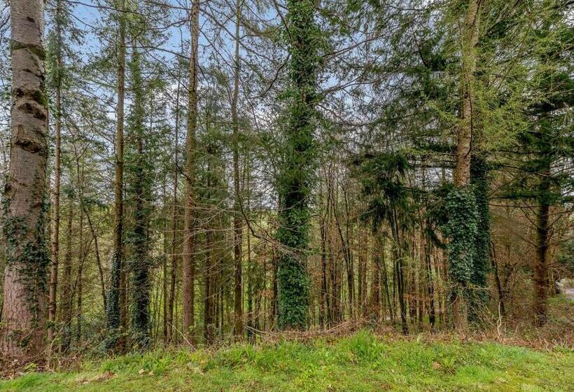 Kurort Bulworthy Forest Lodges