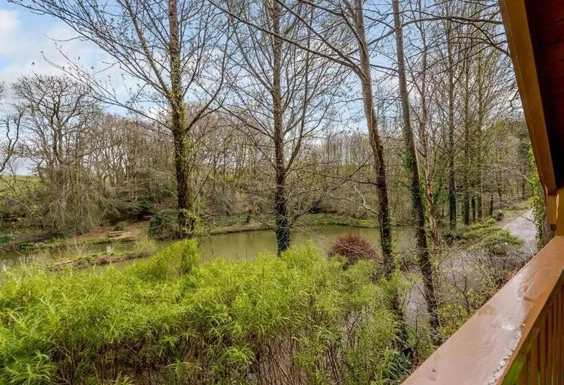 Resort Bulworthy Forest Lodges