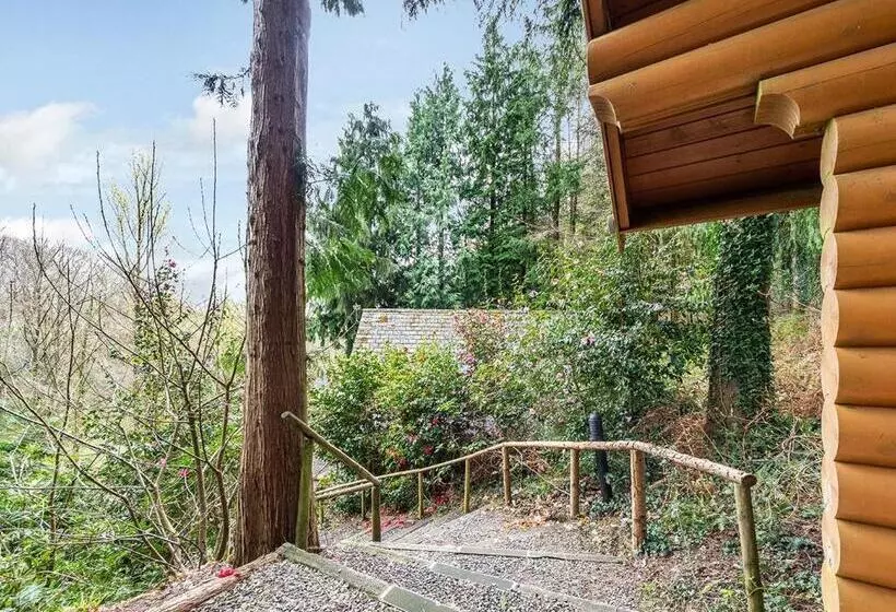 Resort Bulworthy Forest Lodges