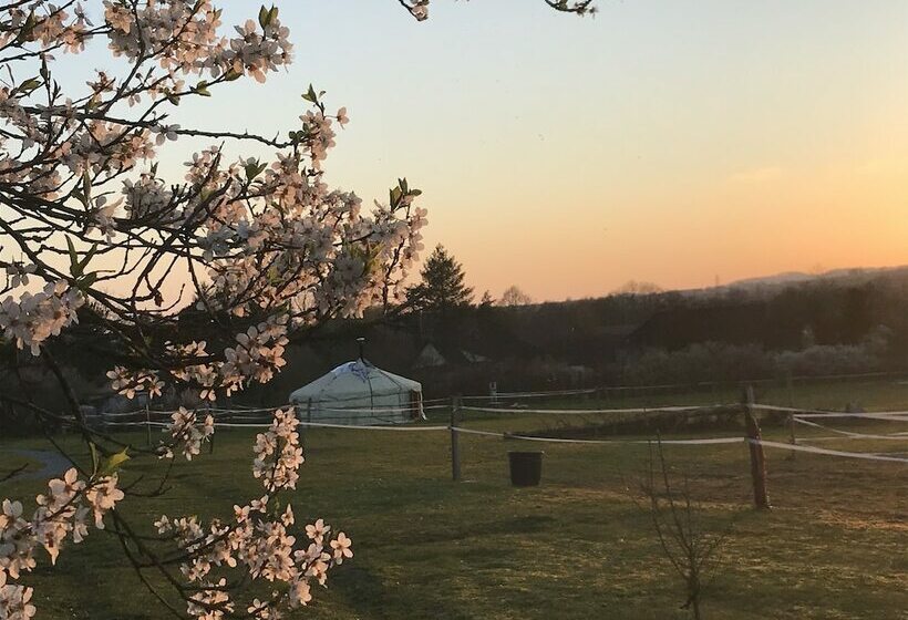 Отель Yourte Mongole