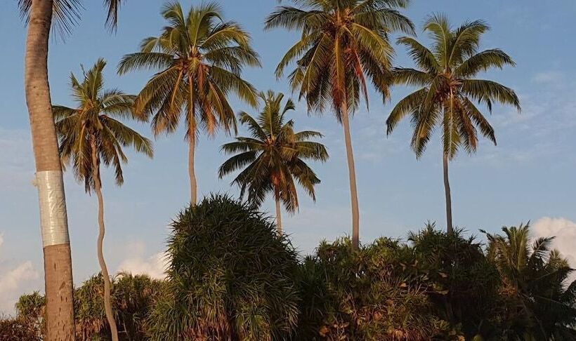 پانسیون Fuvahmulah Inn