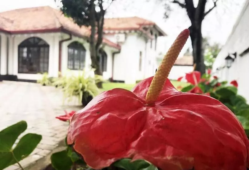 پانسیون Grand Villa Negombo