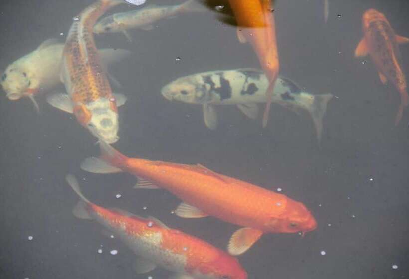 פנסיון Le Residence De Josephine