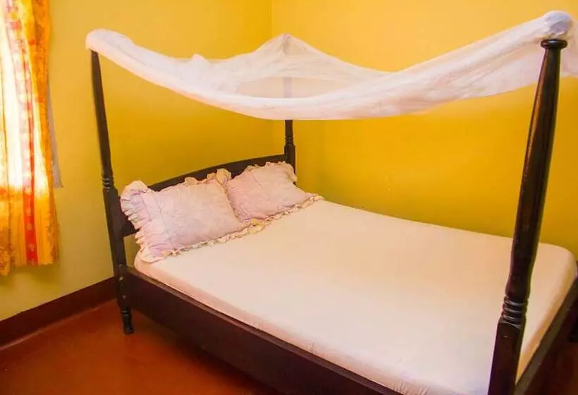 پانسیون Raddison's Guest House