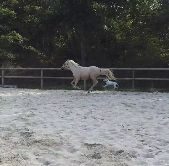 Aamiaismajoitus (B&B) Le Pigeonnier De La Farge