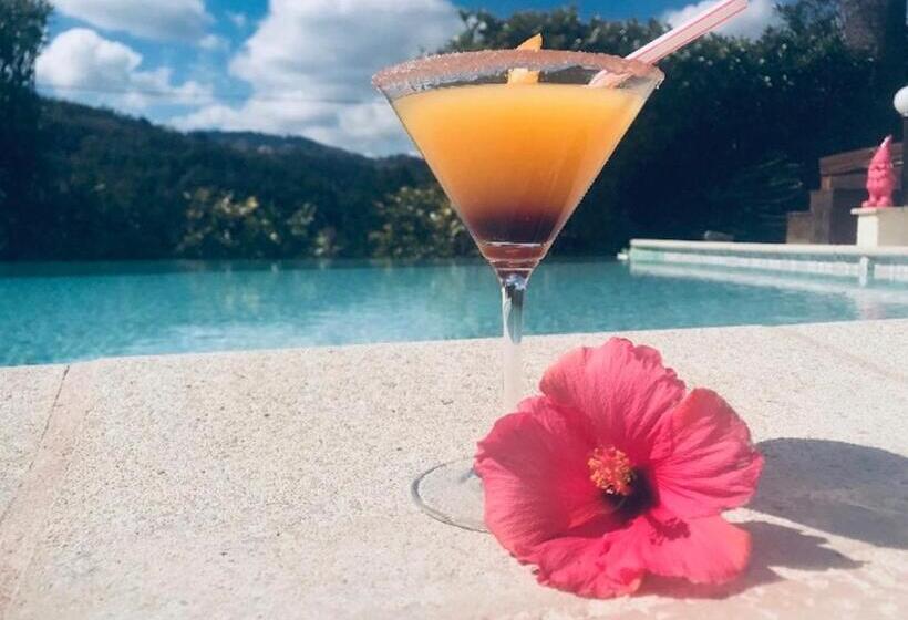 Bed and Breakfast Villa Santa Rita