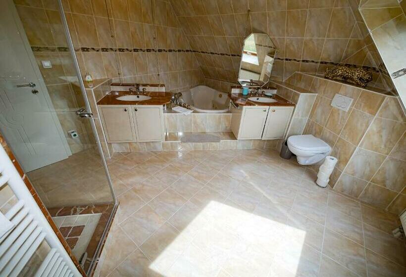 Gites Spa Strasbourg   Villa Ours   Spa Privé, Sauna, Borne D Arcade, Babyfoot