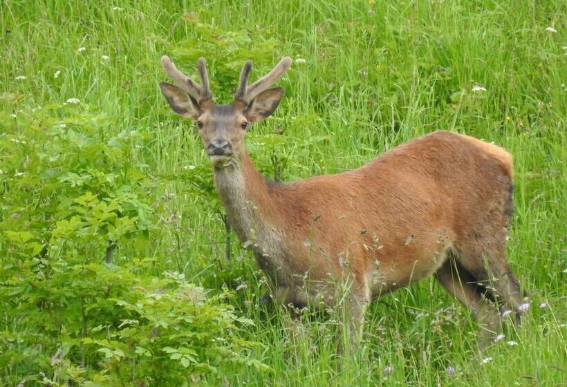ペンション La Boucle De L Adour Chambres D Hôtes