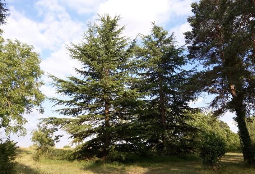 פנסיון La Ferme Des Berthiers