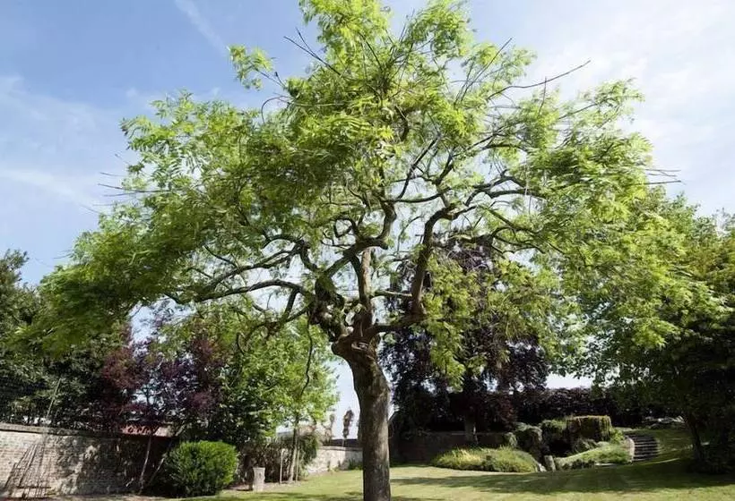 Majatalo Le Carré Des Arts