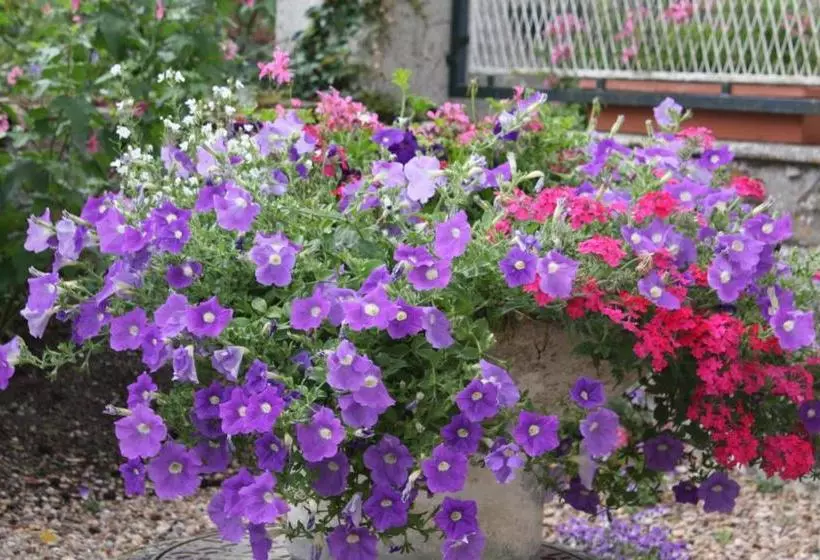 Majatalo Le Clos Près Chambord