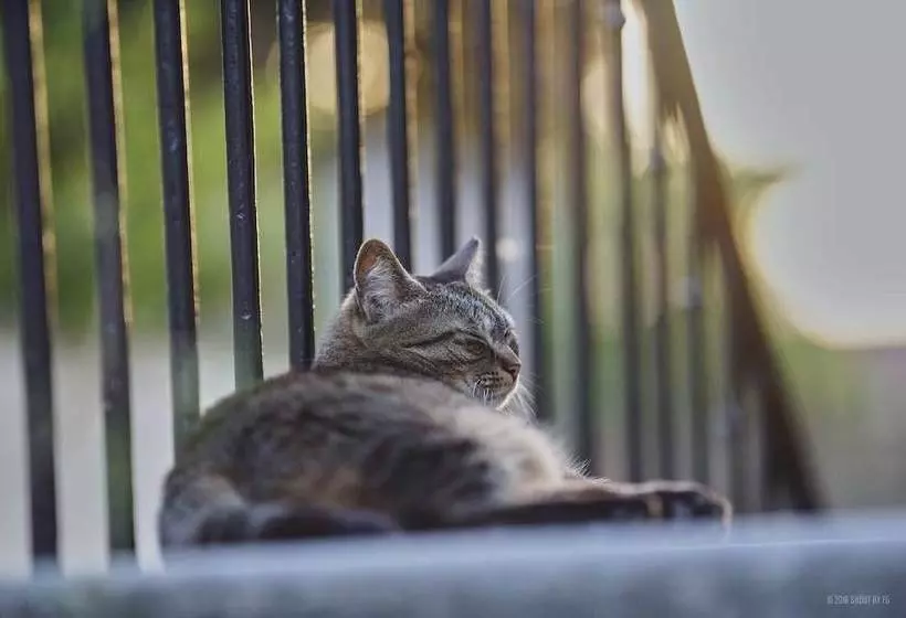 Gite Bord De Marne Paris
