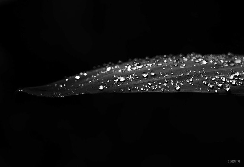 Gite Bord De Marne Paris