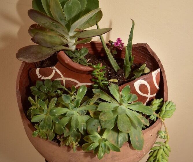 膳宿费 Galotel Agnoudas Near The Airport