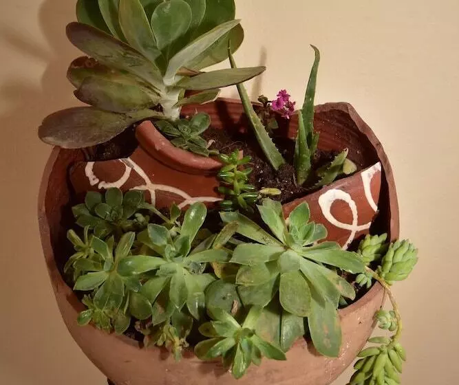 Majatalo Galotel Agnoudas Near The Airport