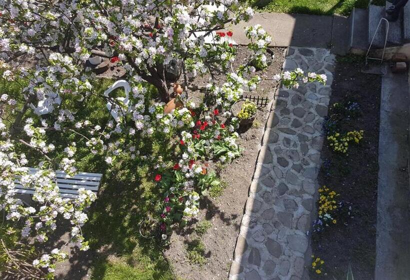 پانسیون Odo's House In Tsinandali