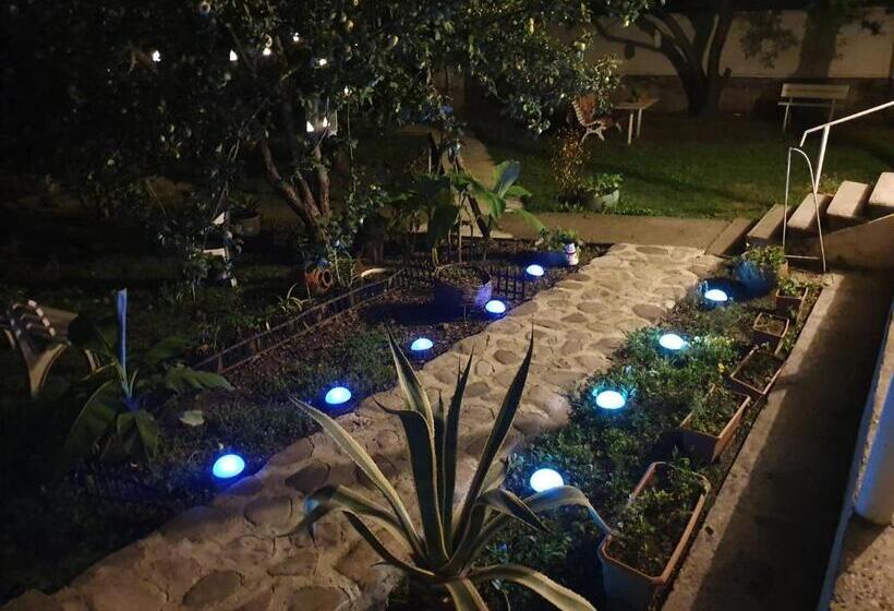 پانسیون Odo's House In Tsinandali