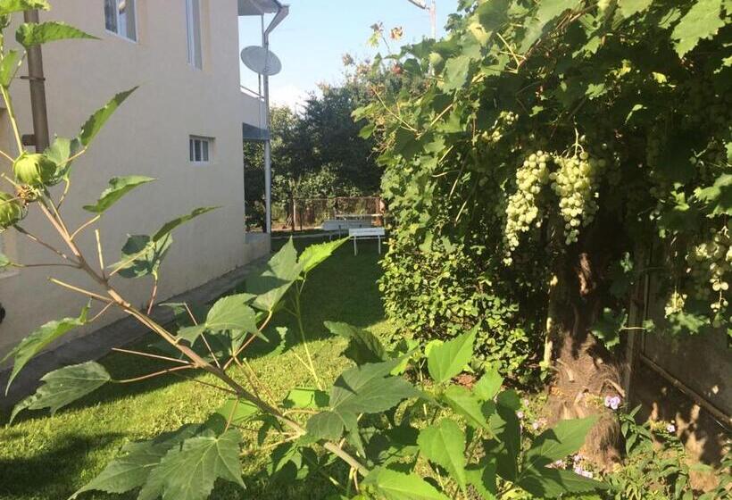 پانسیون Odo's House In Tsinandali