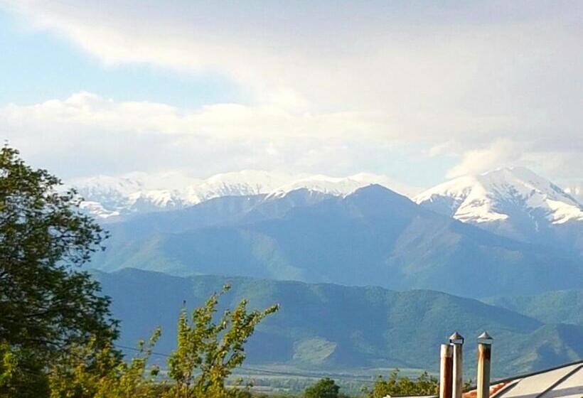 پانسیون Odo's House In Tsinandali